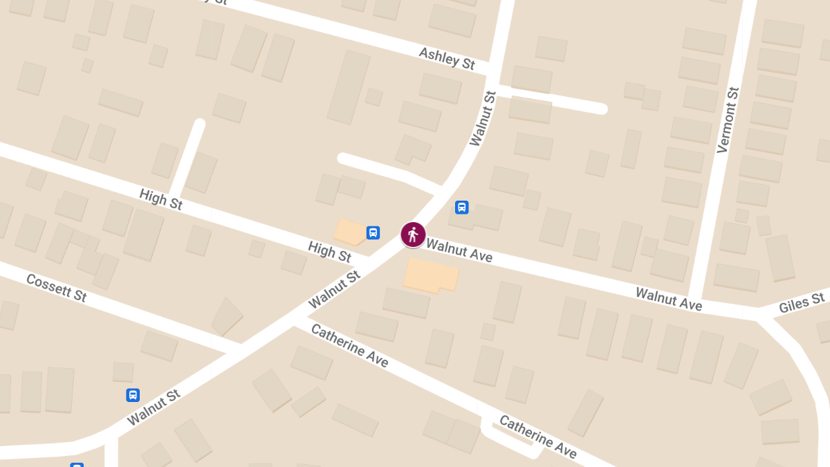 Pedestrian Accident on Walnut Ave