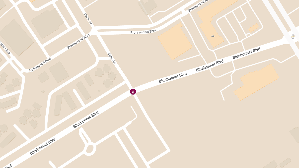 Pedestrian Accident with Injury at Bluebonnet Blvd and Celtic Dr