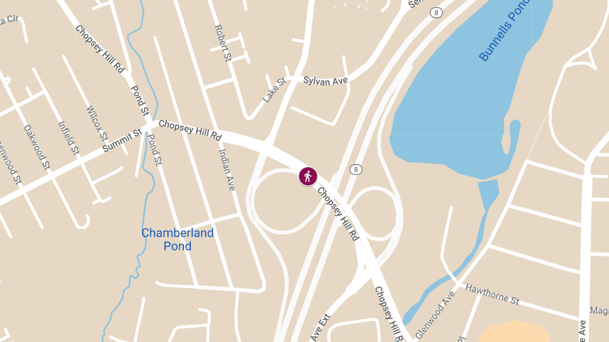 Pedestrian Accidents Reported on Chopsey Hill Rd and Catherine St