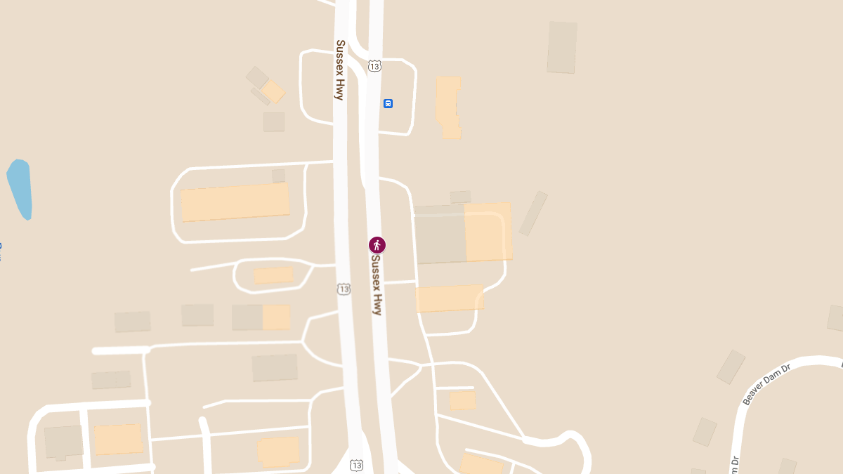 Pedestrian Crash at 23500 Sussex Hwy