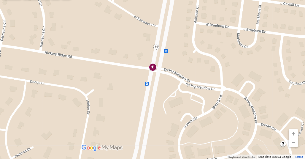 Pedestrian Crash at South DuPont Blvd and Spring Meadow Dr
