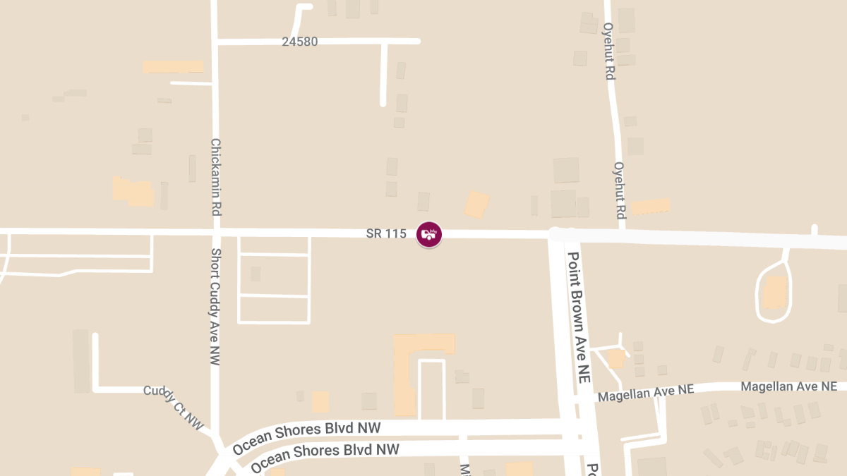 Pedestrian Fatality in Accident Involving City Bus on SR 115