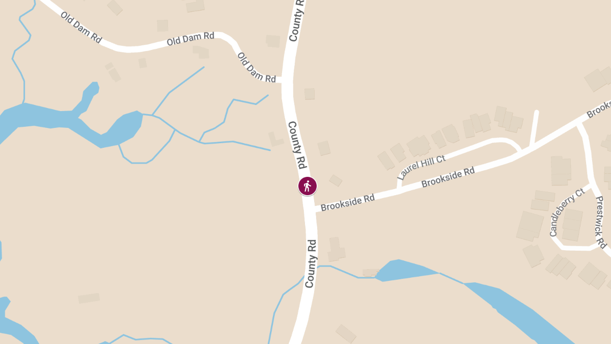 Pedestrian Injured in Car Accident on County Rd near Brookside Rd
