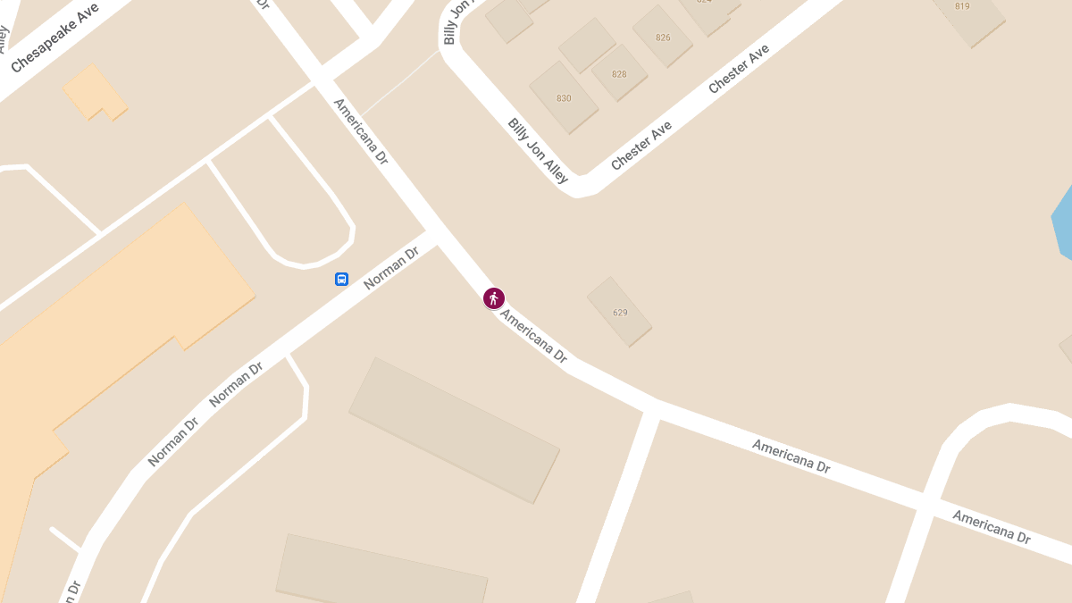 Pedestrian Injured in Collision on Americana Dr