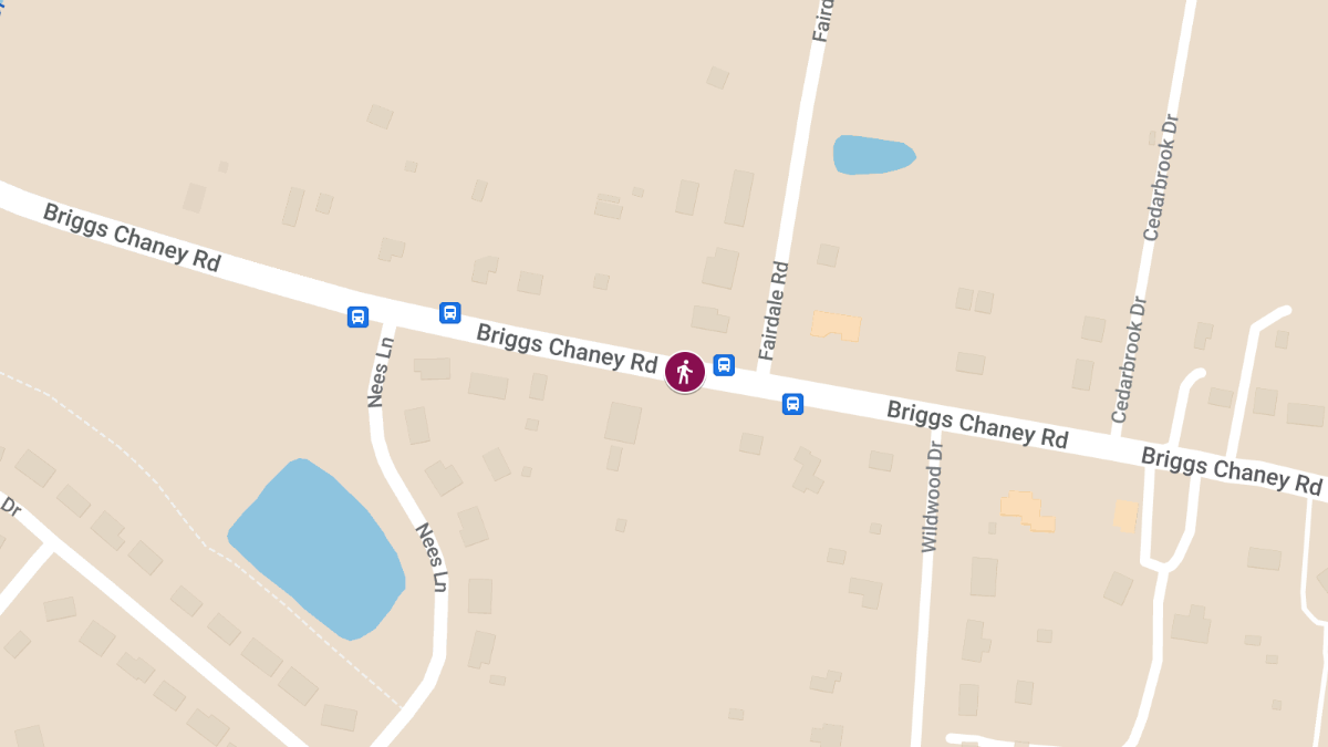 Pedestrian Injured in Hit-and-Run on Briggs Chaney Rd