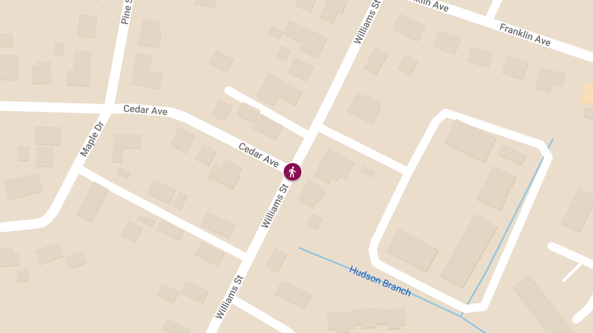 Pedestrian Struck by Vehicle on Williams St