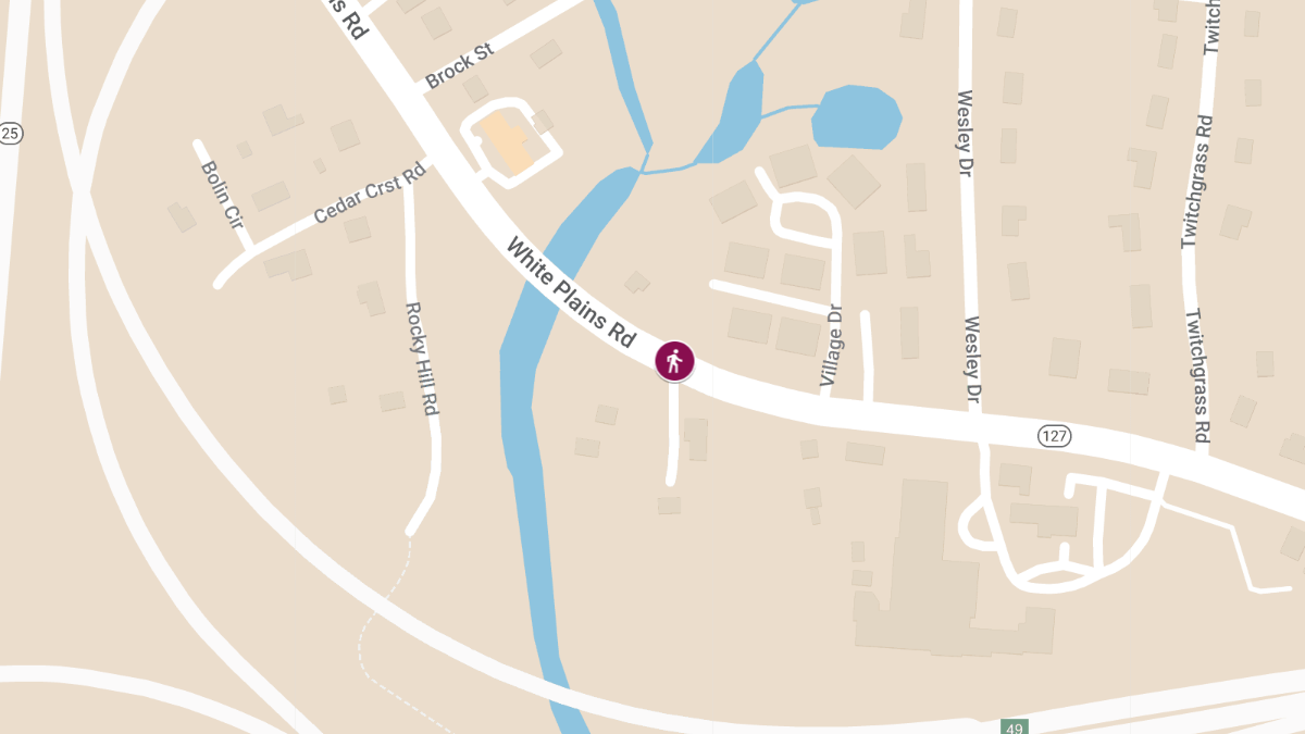 Pedestrian Struck on White Plains Rd