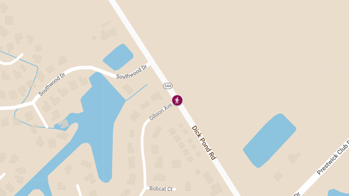 Serious Injuries Reported in Pedestrian Accident at Dick Pond Rd and Gibson Ave