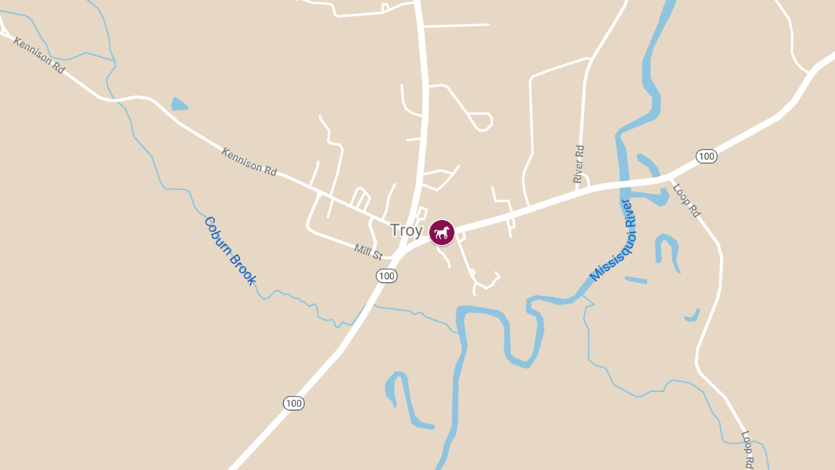 Truck and Horse-Drawn Buggy Crash Leaves One Injured