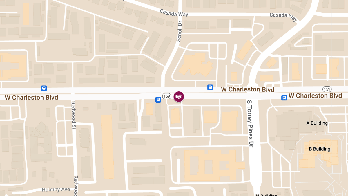 Vehicle Accident at US Hwy 159 West of MO 111