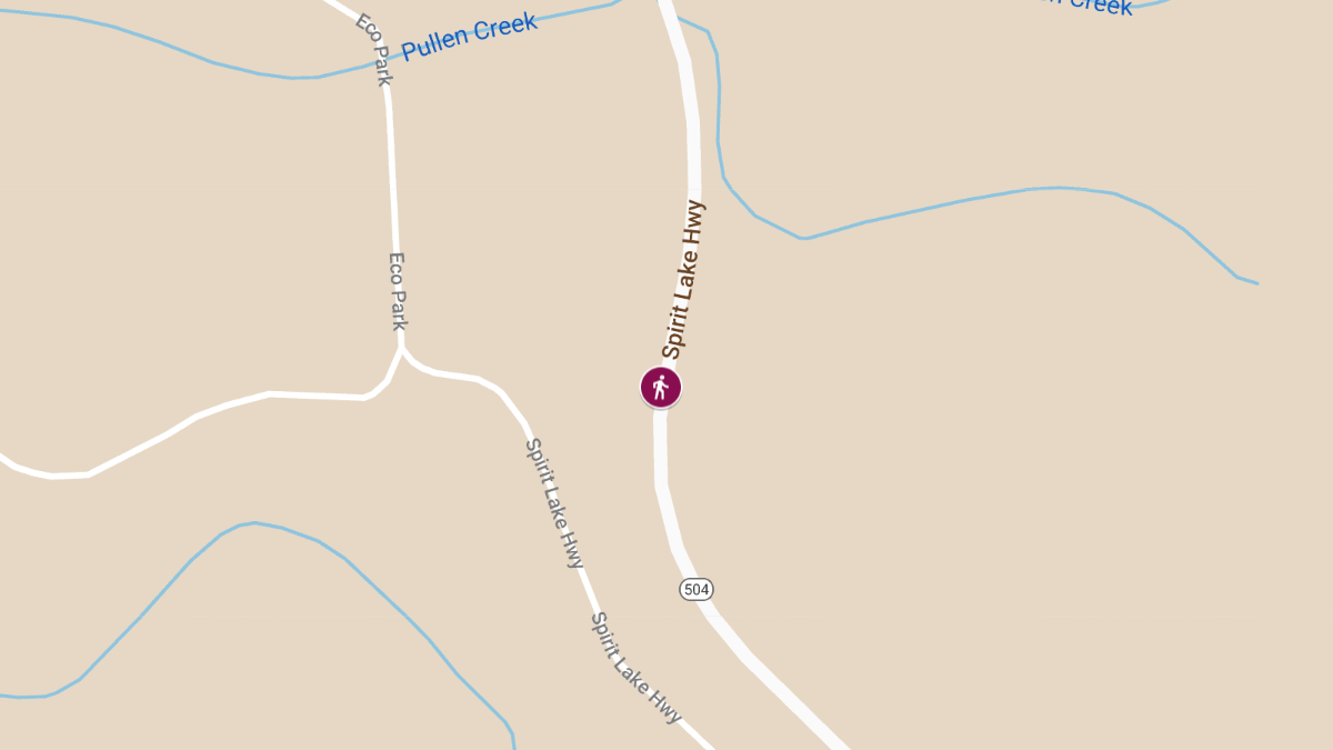 Vehicle vs Pedestrian Incident at 4700 Block Spirit Lake Hwy