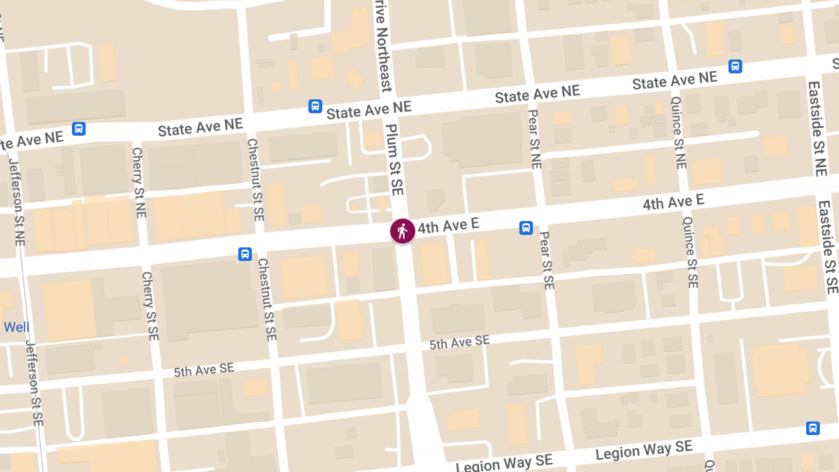 Vehicle vs. Pedestrian Accident at 4th Ave & Plum St