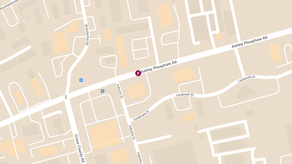Auto-Pedestrian Crash on Ashley Phosphate Rd Causes Injuries