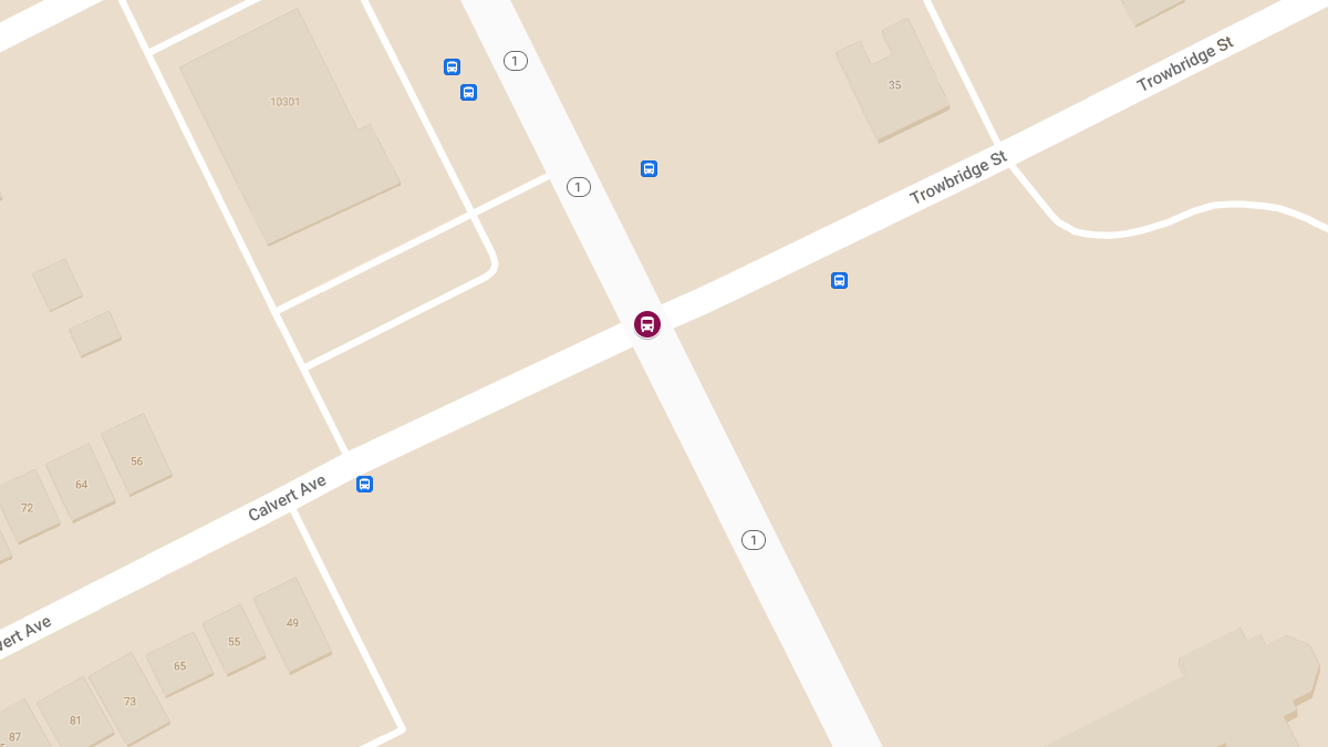 Crash Involving D-Dot Bus at Woodward Ave & Calvert St