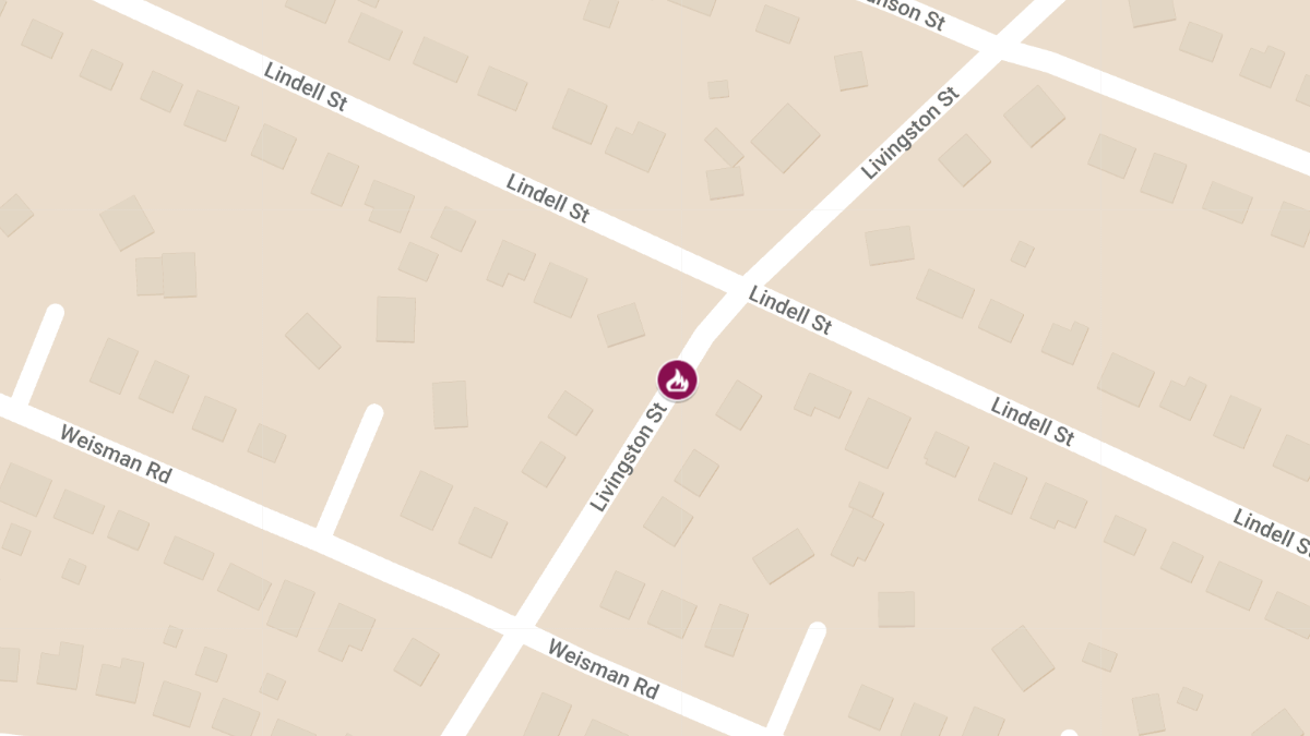 Fatal Fire on Livingston St Claims Life of Elderly Woman