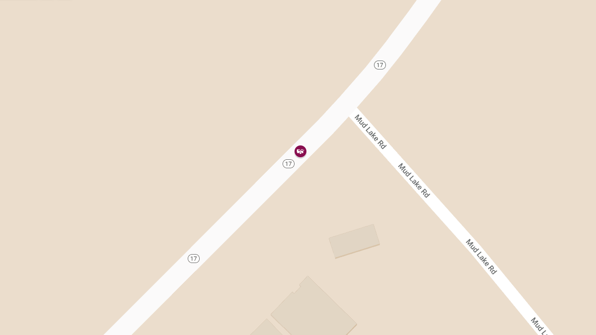 Fatal Head-On Collision on Hwy 17 Near Mud Lake Rd