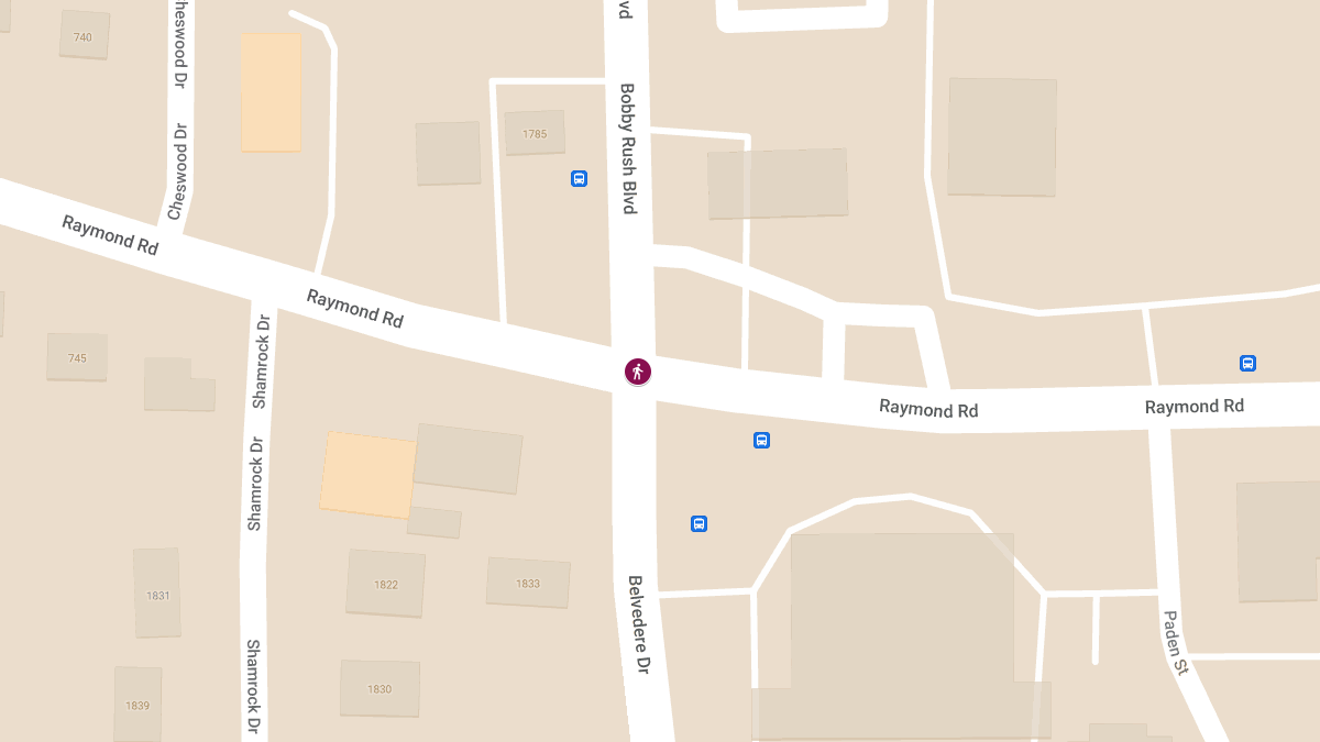 Fatal Hit-and-Run Accident at Raymond Rd and Ellis Ave