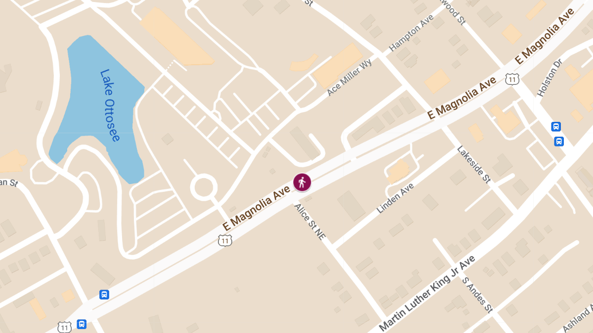Fatal Hit-and-Run Accident on Magnolia Ave