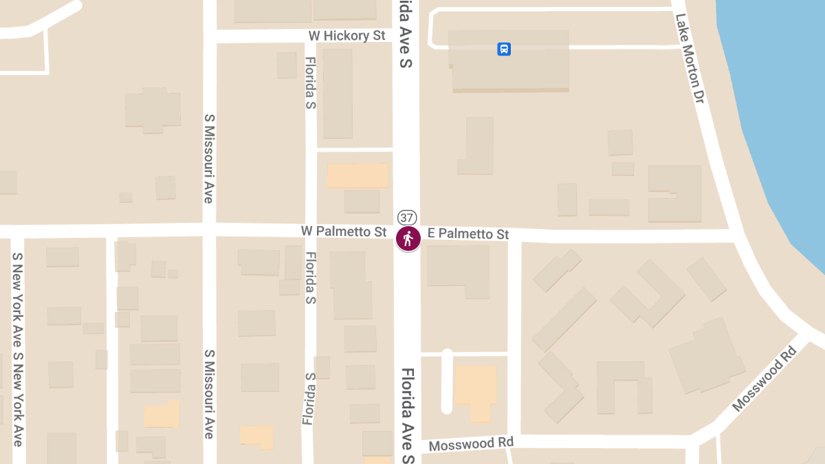 Fatal Hit-and-Run Pedestrian Accident on South Florida Ave at Palmetto Ave
