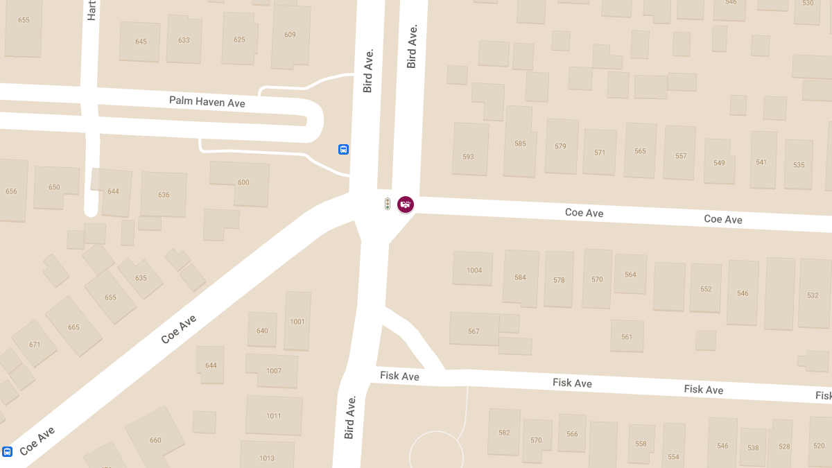 Fatal Hit-and-Run Pedestrian Crash at Bird Ave and Coe Ave
