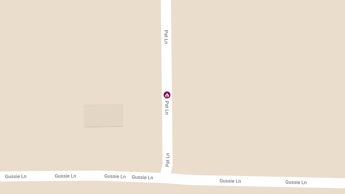 Fatal House Fire Claims Life of Elderly Woman on Pat Lane