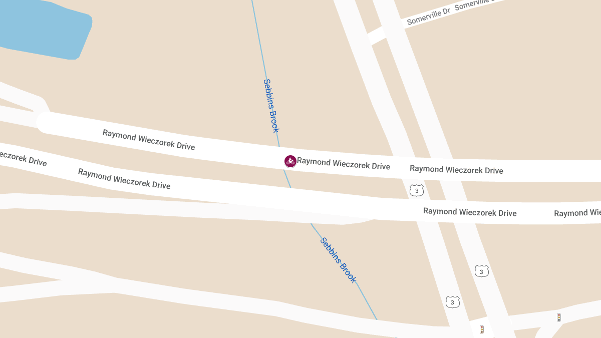 Fatal Motorcycle Crash on Raymond Wieczorek Dr Offramp
