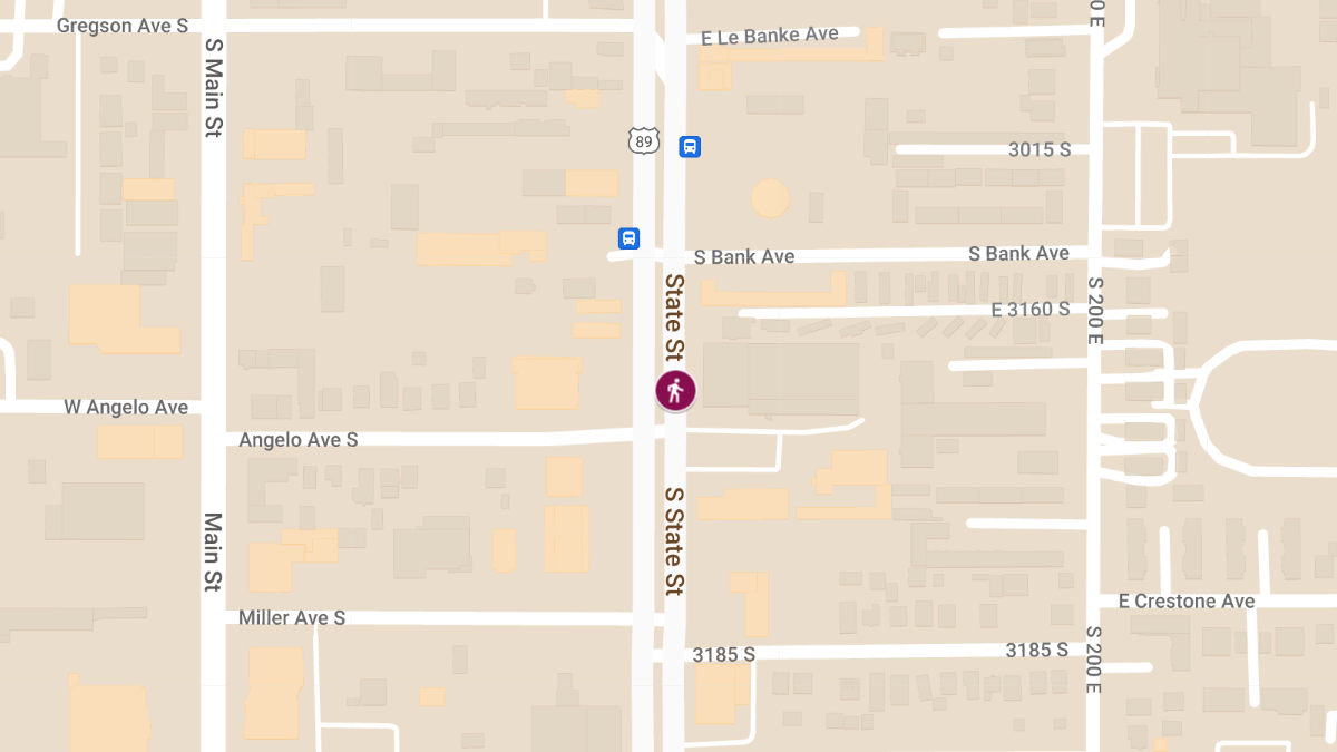 Fatal Pedestrian Accident at 3116 S State St