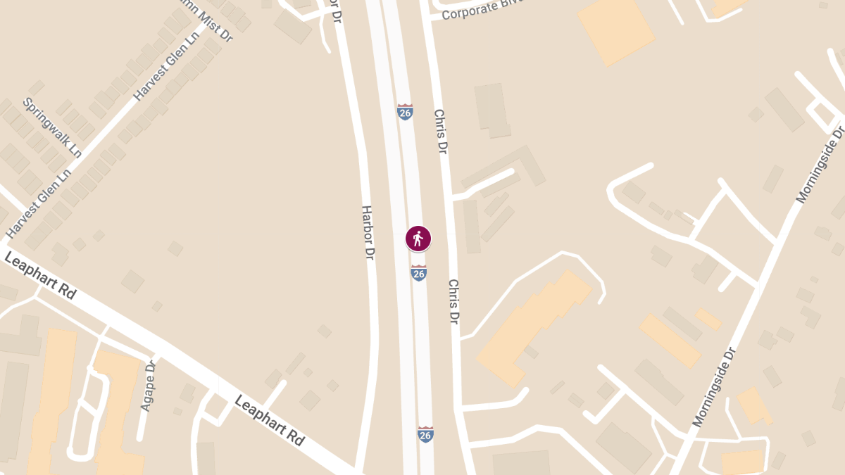 Fatal Pedestrian Crash on Interstate 26 