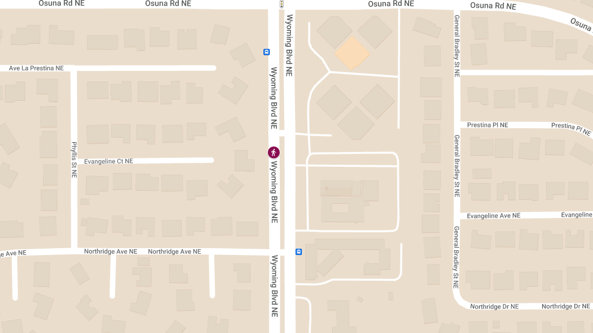 Fatal Pedestrian Crash on Wyoming Blvd