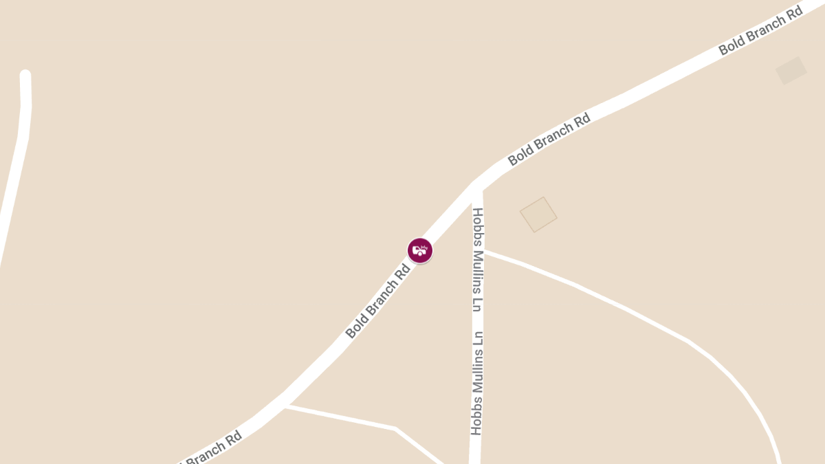 Fatal Single-Vehicle Crash on Bold Branch Rd