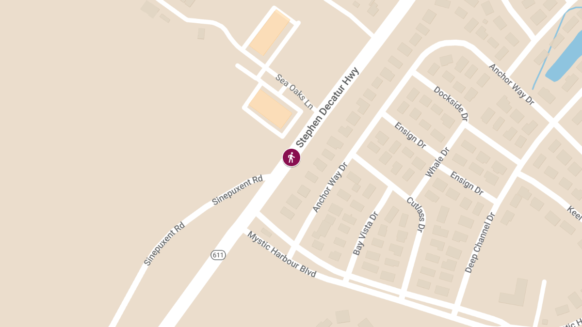 Hit-and-Run Pedestrian Crash on Stephen Decatur Hwy