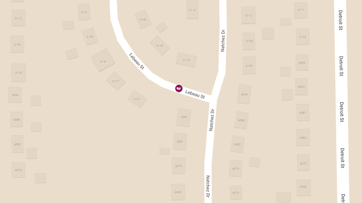 Injury Accident on Lebeau St