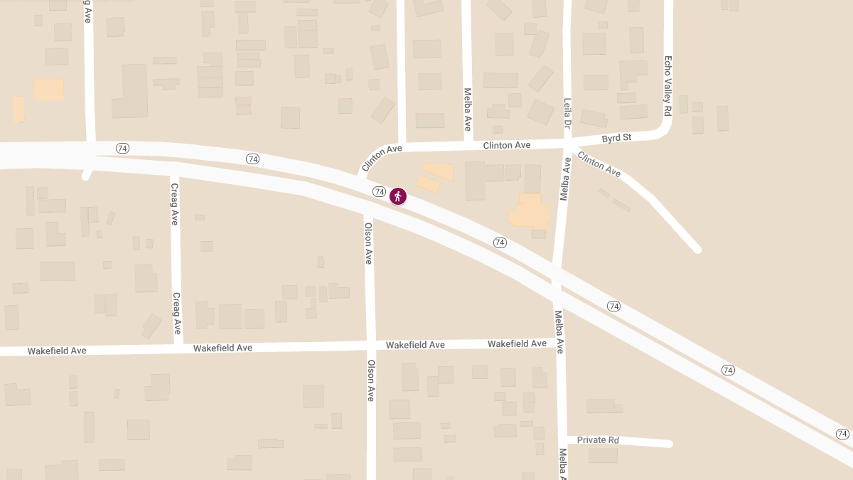 Lefty Linscott Fatally Struck by Vehicle on Highway 74