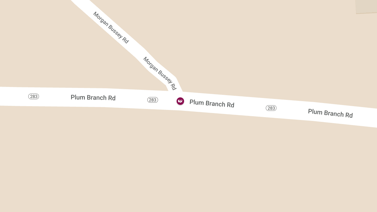 One Killed, 11 Hospitalized in Two-Vehicle Collision on Plum Branch Rd & Morgan Bussey Rd