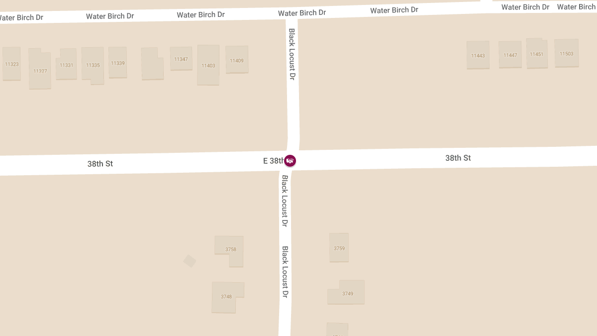 Pedestrian Accident at E 38th St & Black Locust Dr
