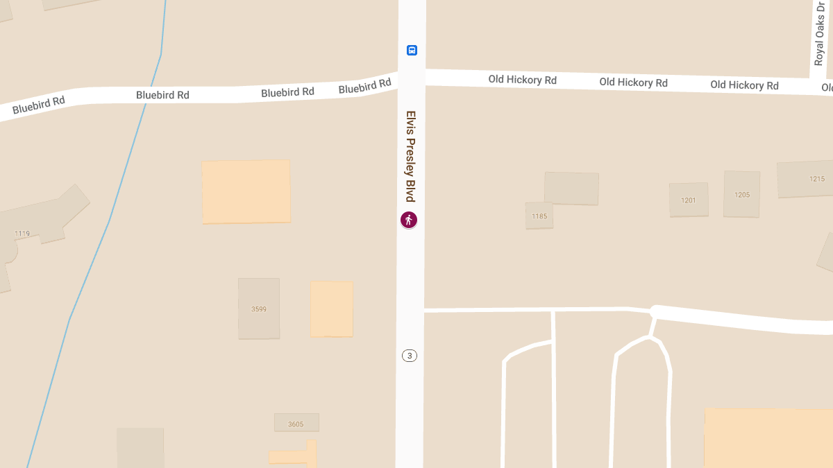 Pedestrian Accident at Elvis Presley Blvd Results in Injuries