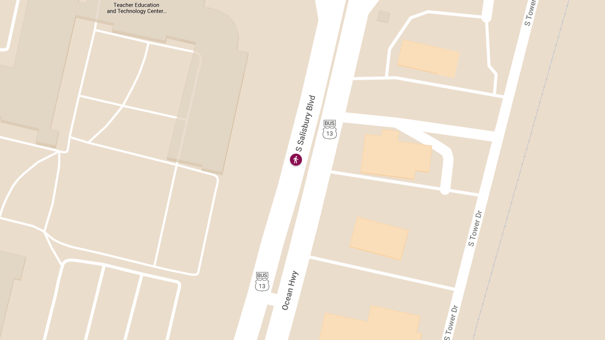 Pedestrian Accident on South Salisbury Blvd