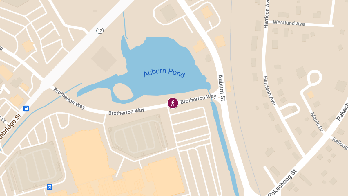 Pedestrian Crash at 4 Brotherton Way Causes Injuries
