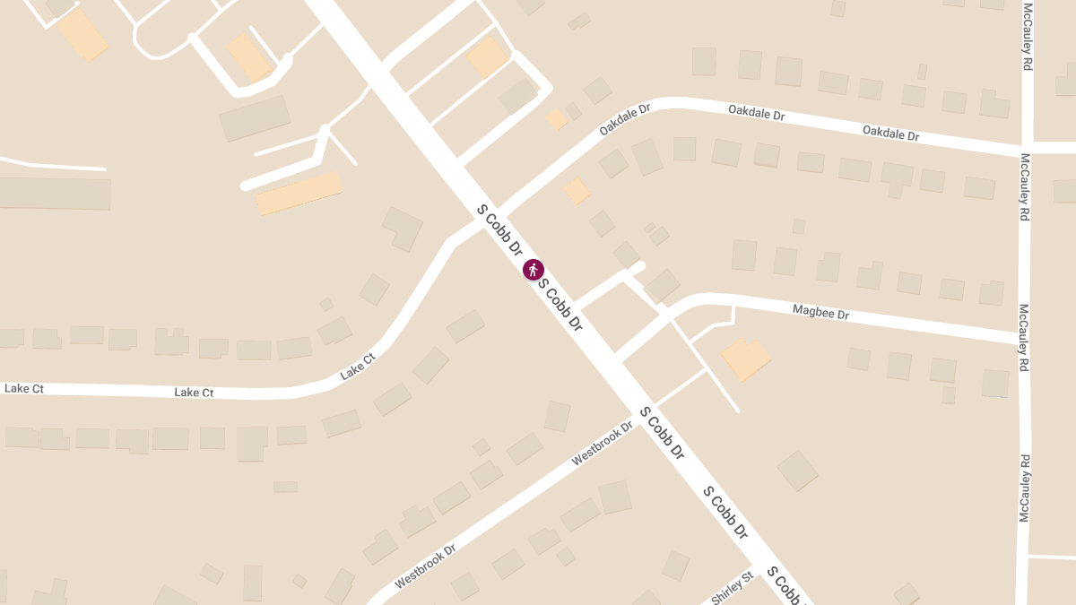 Pedestrian Fatality on South Cobb Dr