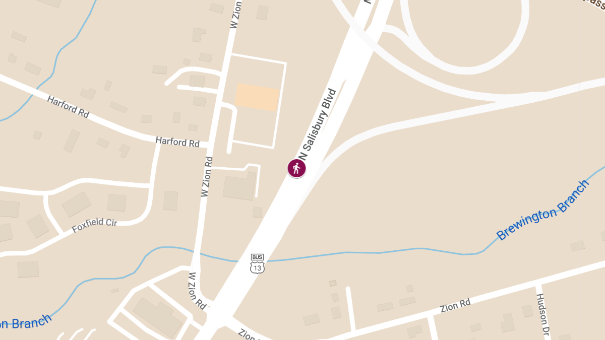 Pedestrian Injured in Crash on North Salisbury Blvd