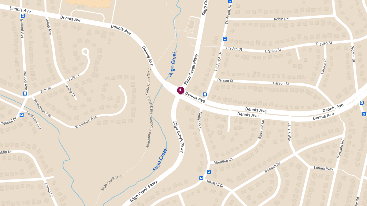 Pedestrian Injury Accident at Sligo Creek Pkwy & Dennis Ave