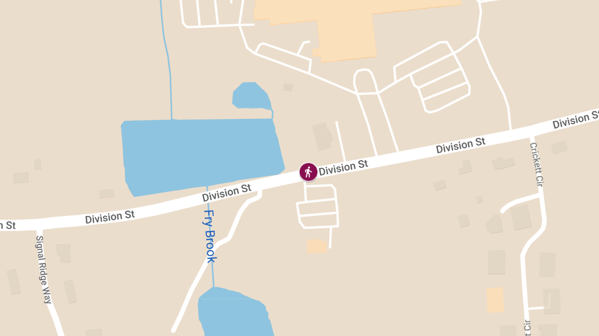 Pedestrian Killed in Division Rd Accident