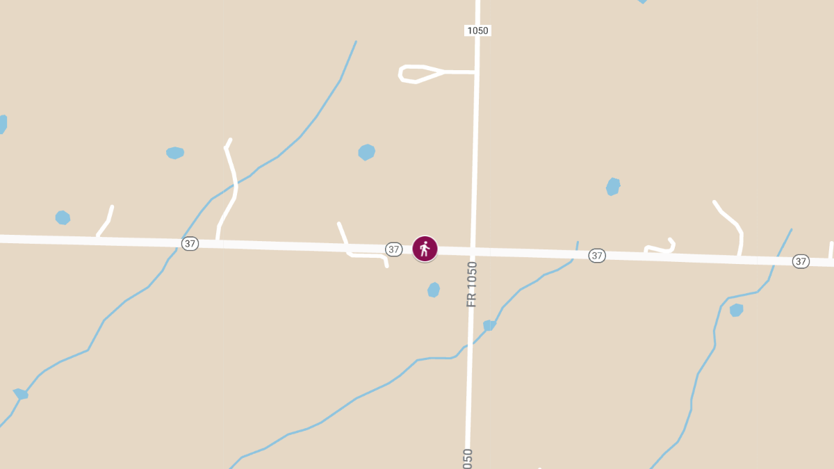 Pedestrian Seriously Injured in Crash on MO 37