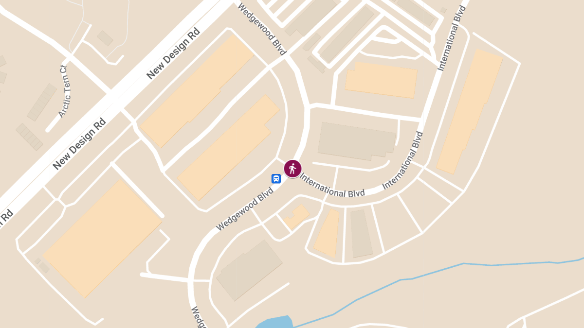 Pedestrian Struck Near Wedgewood Blvd and International Blvd