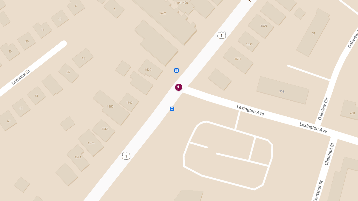 Pedestrian Struck on North Ave at Lexington Ave