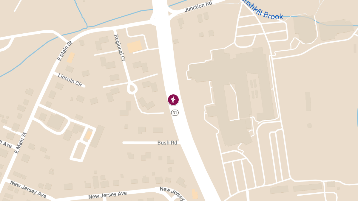 Pedestrian Struck on East Main St