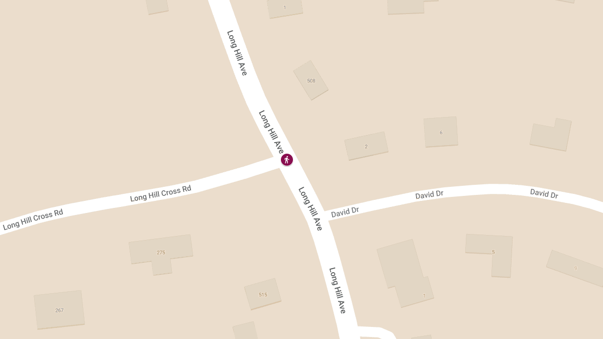 Pedestrian and Dog Struck at Long Hill Cross Rd & Long Hill Ave