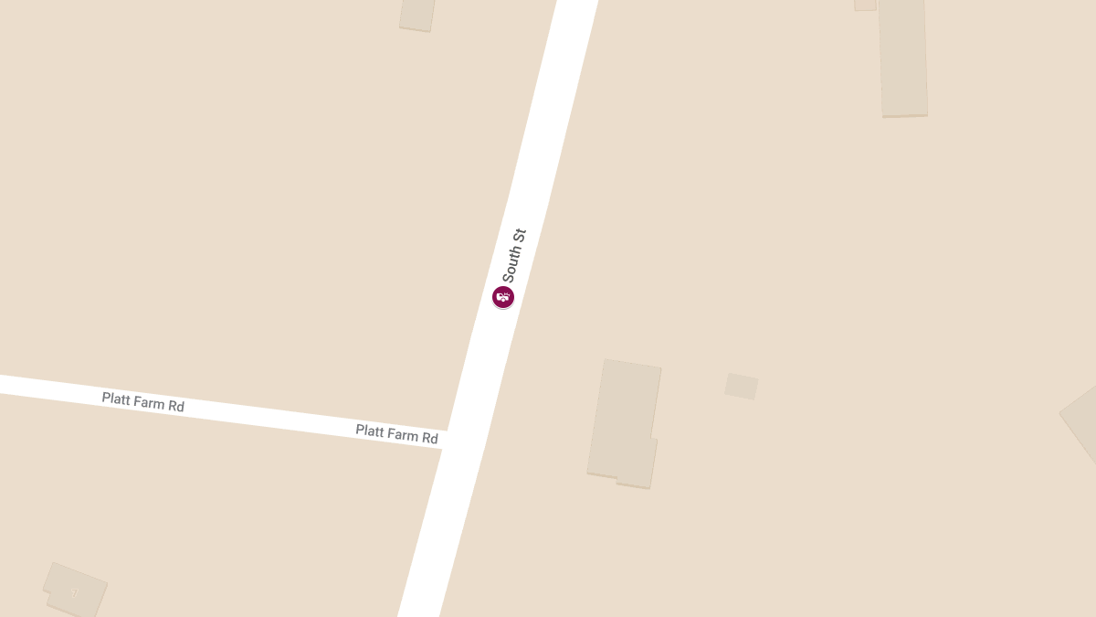 Rollover Accident at 197 South St