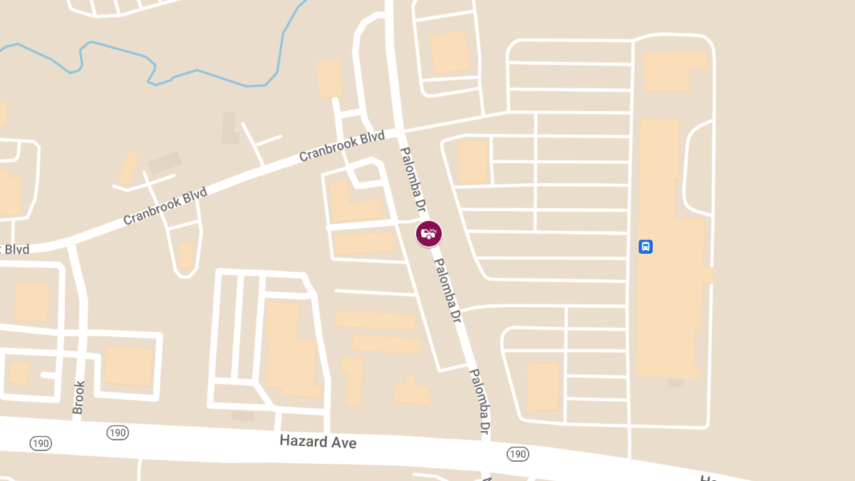 Serious Car Accident on Palomba Drive near Cranbrook Blvd