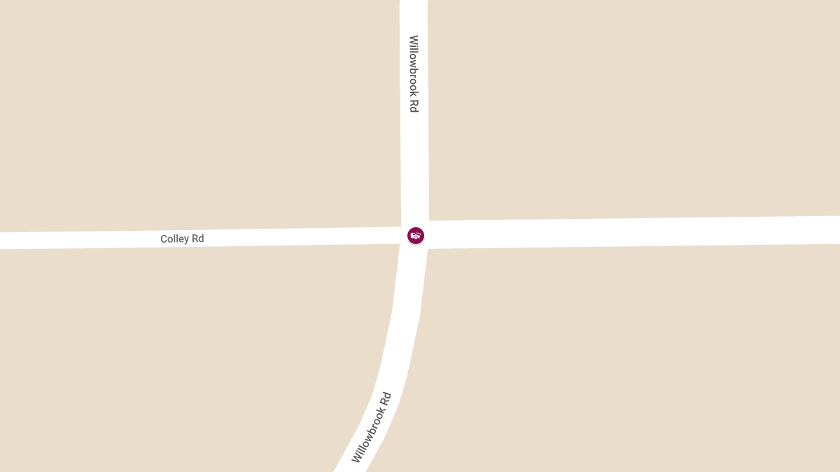 Traffic Accident with Injuries at Willowbrook & Colley